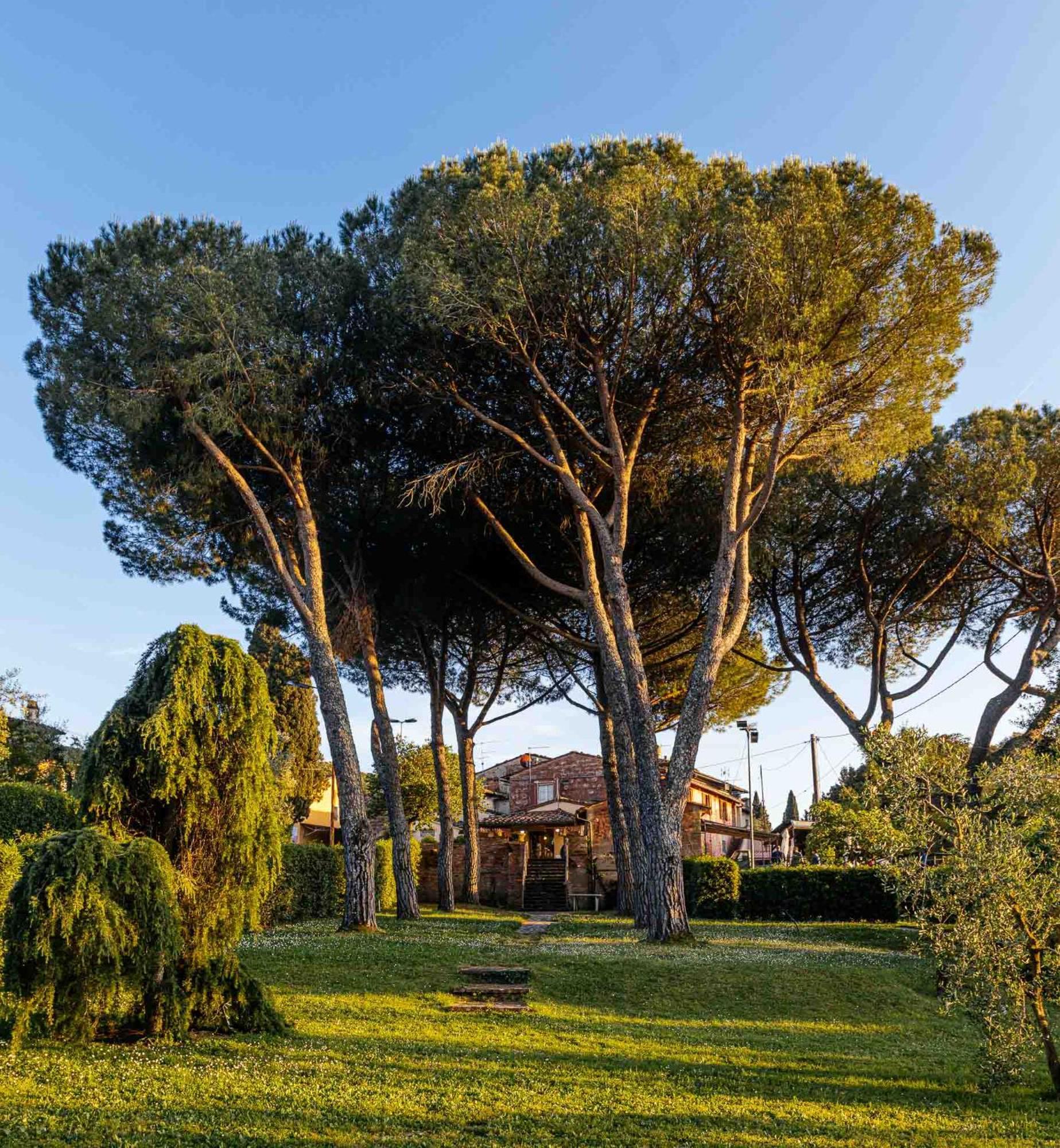 סן מיניאטו Collebrunacchi B&B מראה חיצוני תמונה